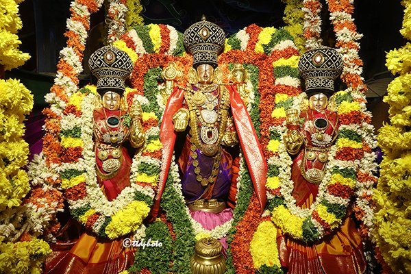 Rathotsavam as a celebration