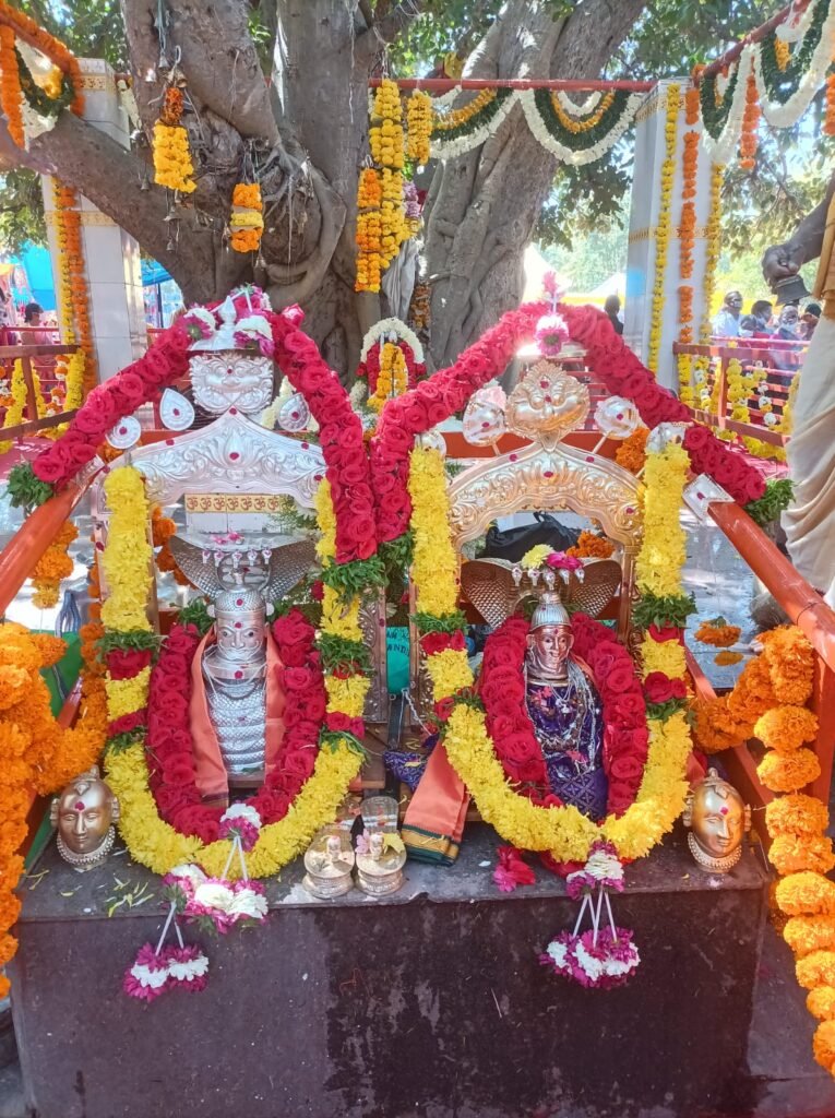 అయ్యల గుట్ట జాతరకు పూర్తయిన ఏర్పాట్లు
