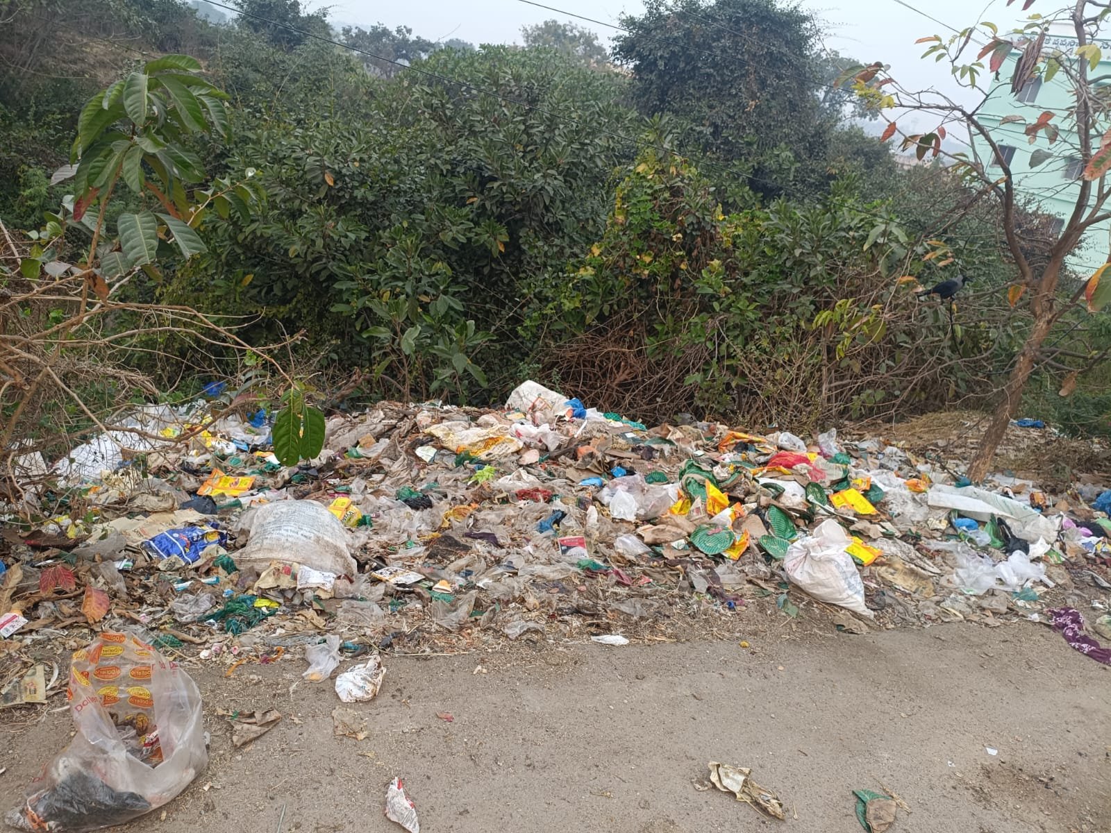 Where is the cleanliness and hygiene?
