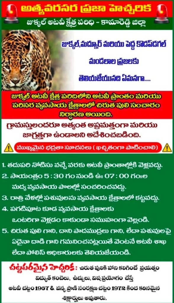 Leopard in Madnur