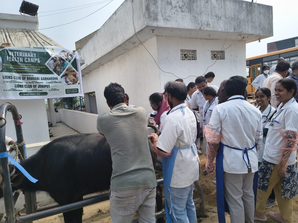 Veterinary camp begins