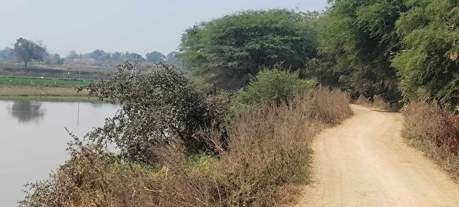 Government lands are being seized...