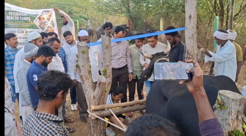 ప్రత్యేక పశు వైద్య శిబిరం ఏర్పాటు