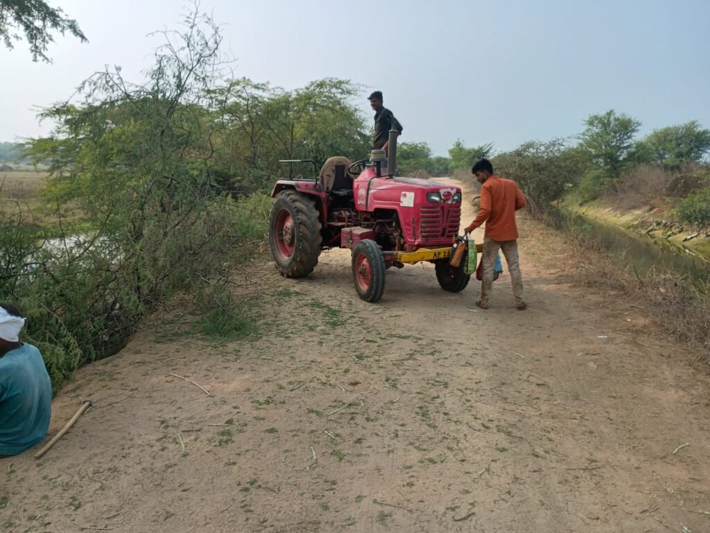 కెనాల్ ప్రక్కన అక్రమంగా చెట్ల నరికివేత