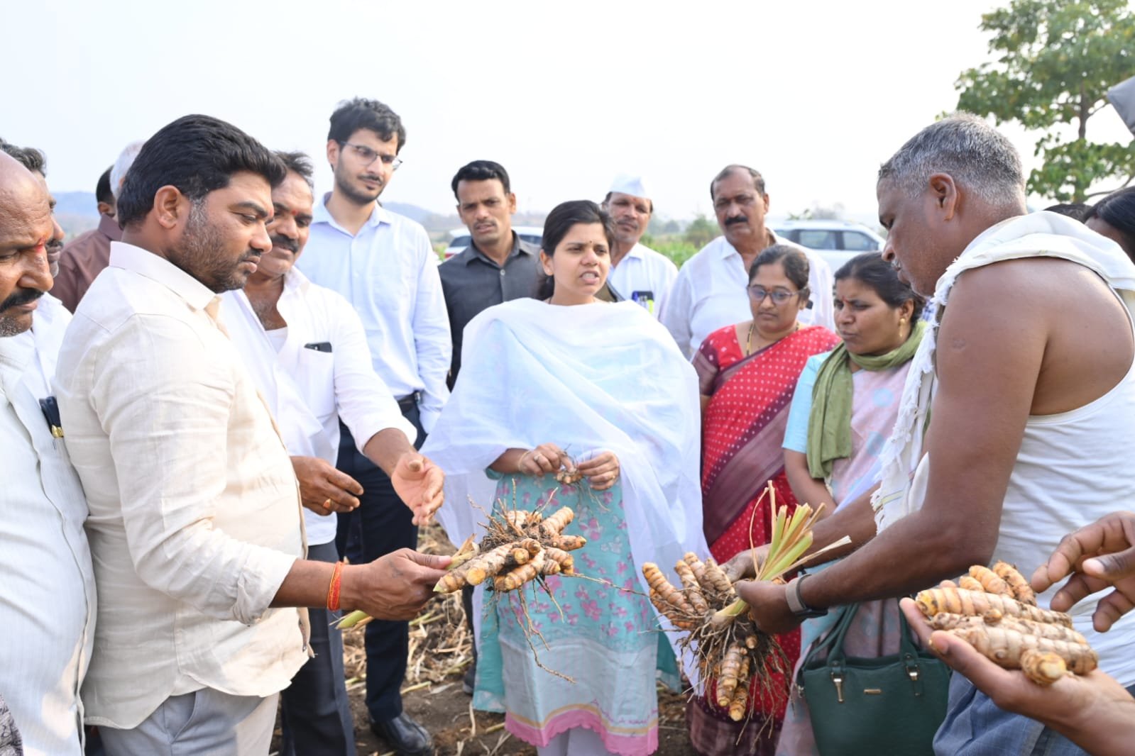 Collector visits turmeric fields