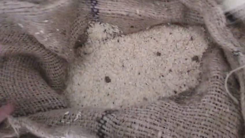 Worms in the midday meal...