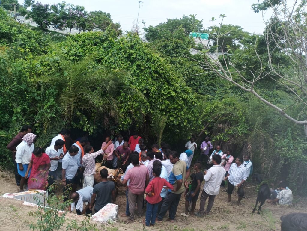 ఘనంగా కట్ట మైసమ్మ పండుగ