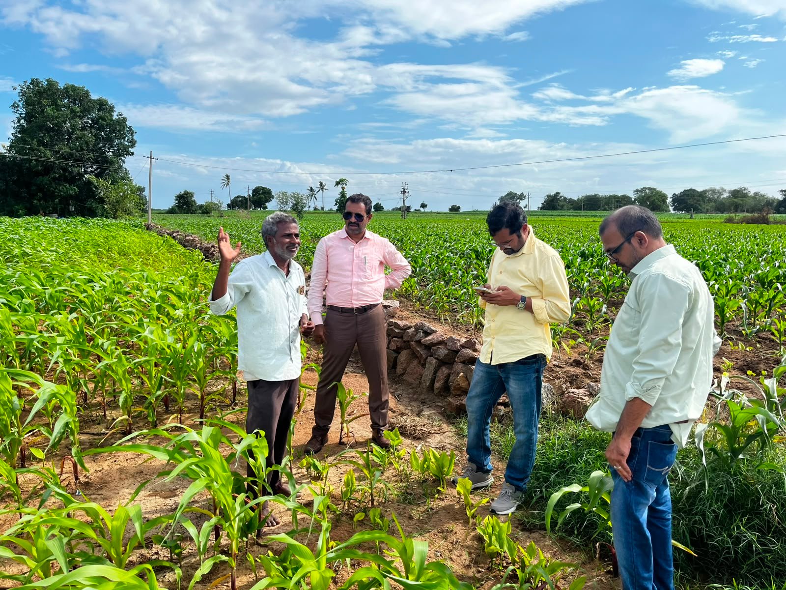 University professors inspected the organic crops.