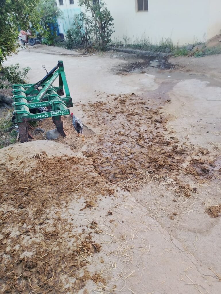 Sanitation issues due to buffaloes being tethered on the roads.