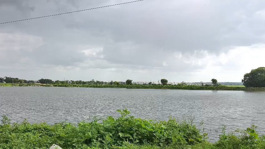 Groundwater levels rose due to desilting of Yellayya Cheruvu.