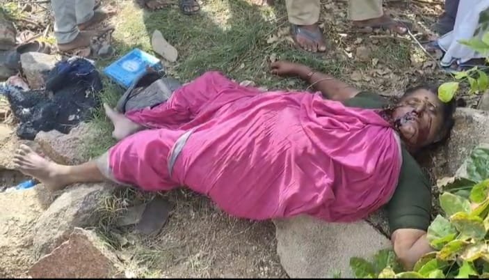 Woman dies in road accident