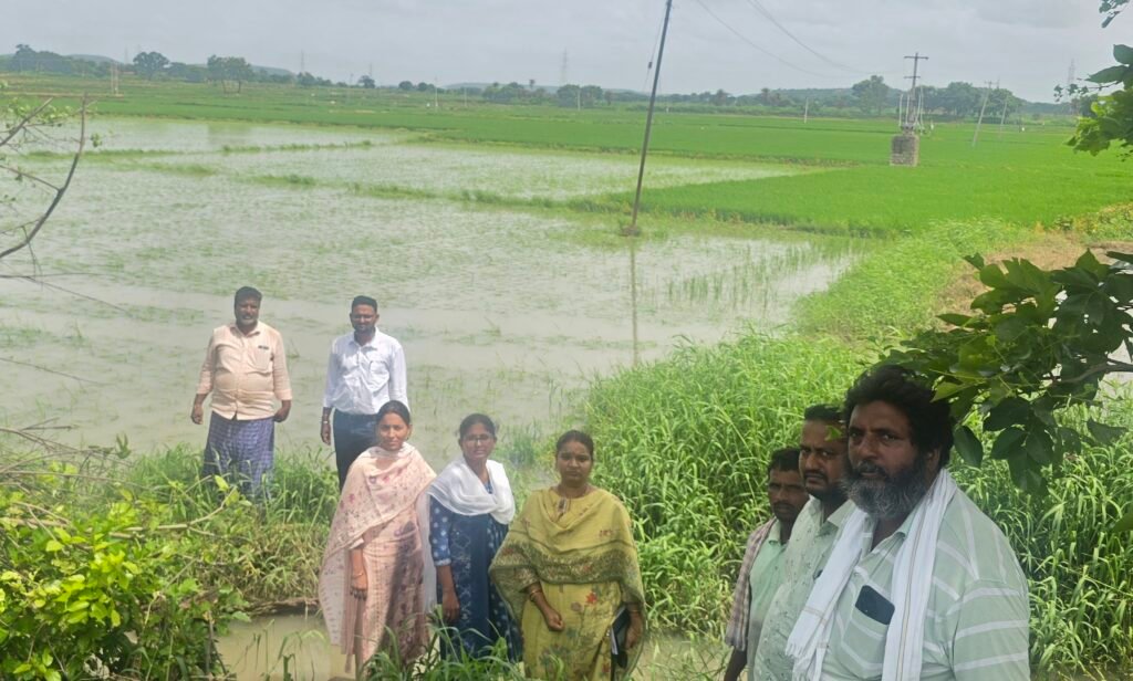 నీట మునిగిన వరి పొలాలను సందర్శించిన శాస్త్రవేత్తలు