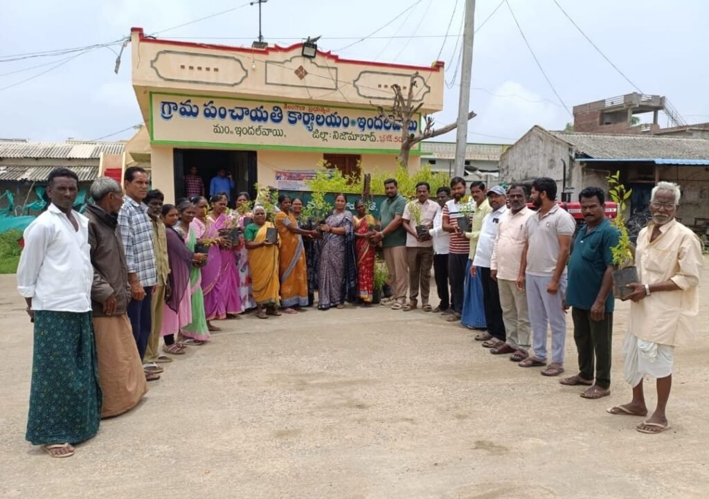 మొక్కల సంరక్షణ ప్రతి ఒక్కరి బాధ్యత