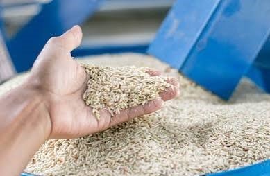 The rice millers are our own people.