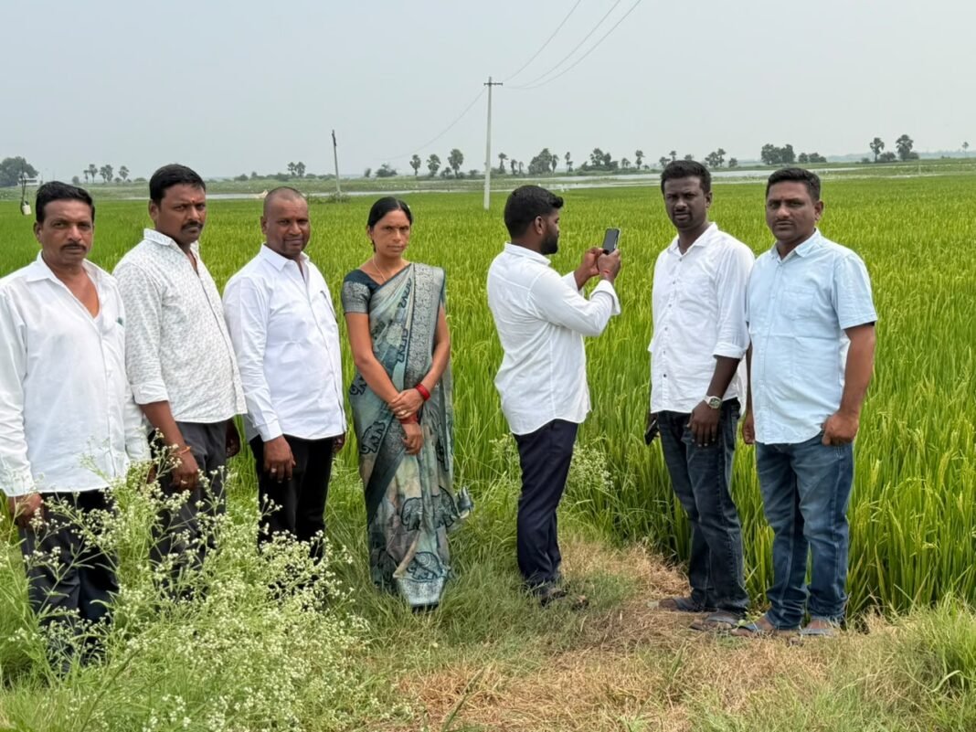 Digital Crop Survey in Naleshwar Village