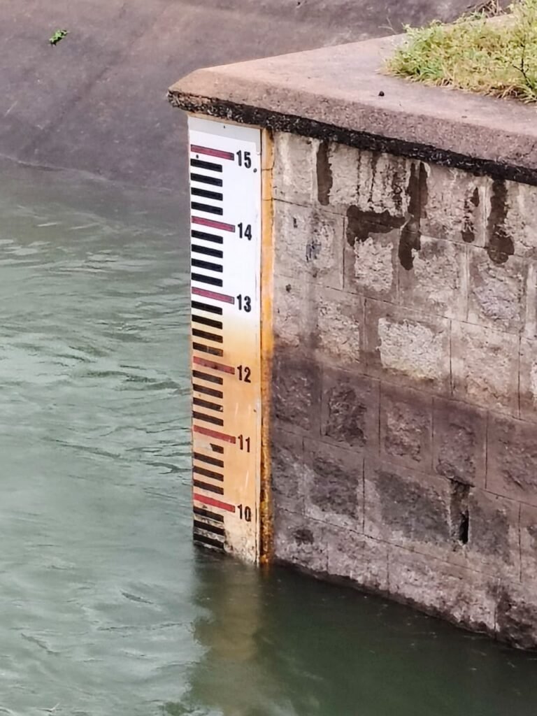 SRSP water released for Ganesh immersion