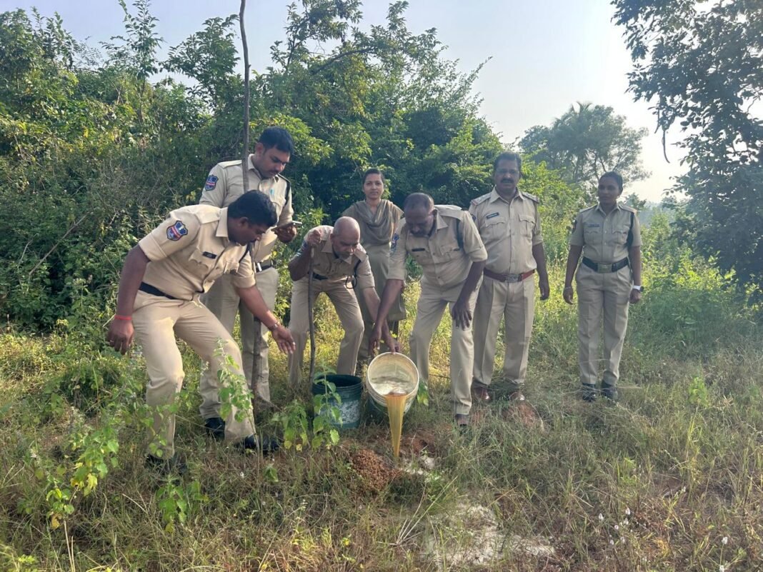 Excise Department raids on illicit arrack production in Ramareddy.