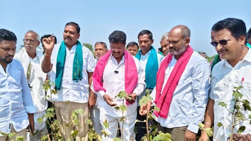 Crops are withering... farmers are suffering losses