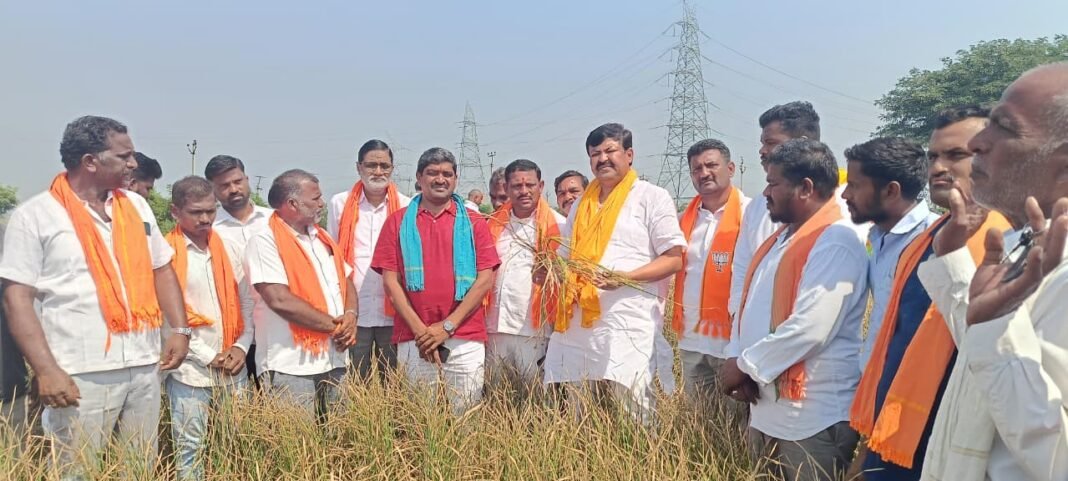 BJP District President Dinesh inspected the withering paddy crops
