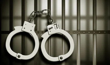 Five arrested for obstructing forest officials